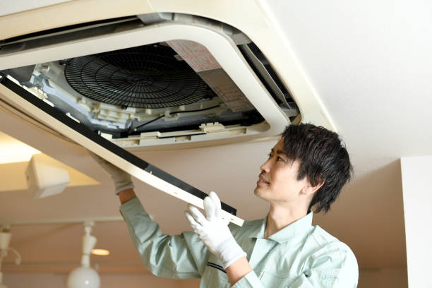 Best HVAC Duct Inspection Services  in Tavares, FL